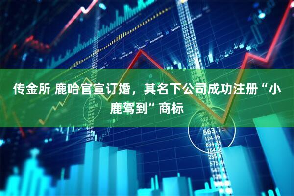 传金所 鹿哈官宣订婚，其名下公司成功注册“小鹿驾到”商标