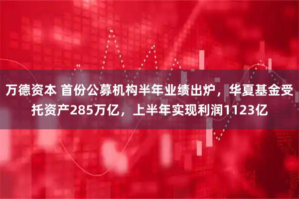 万德资本 首份公募机构半年业绩出炉，华夏基金受托资产285万亿，上半年实现利润1123亿