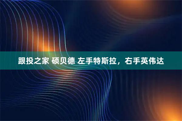 跟投之家 硕贝德 左手特斯拉，右手英伟达