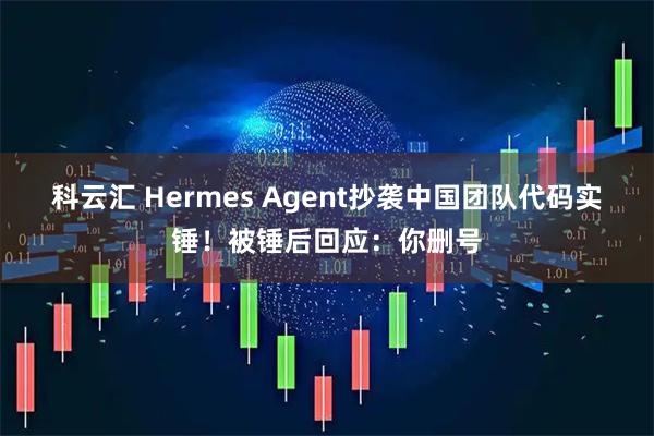 科云汇 Hermes Agent抄袭中国团队代码实锤！被锤后回应：你删号