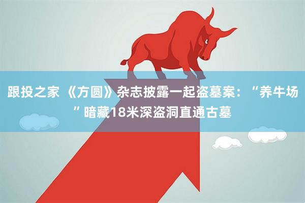 跟投之家 《方圆》杂志披露一起盗墓案：“养牛场”暗藏18米深盗洞直通古墓
